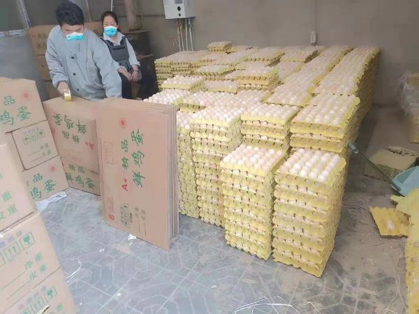 QQ图片20220417083603_1650155828