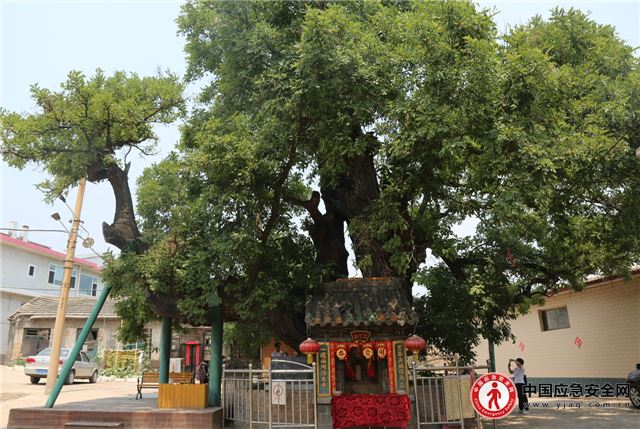 17435314405670416_13.jpeg 17435314405670416_13.jpeg