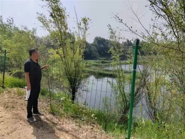 22243718916598537_29.jpg 22243718916598537_29.jpg