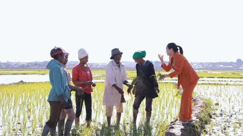 14513113943796895_5.jpg 14513113943796895_5.jpg