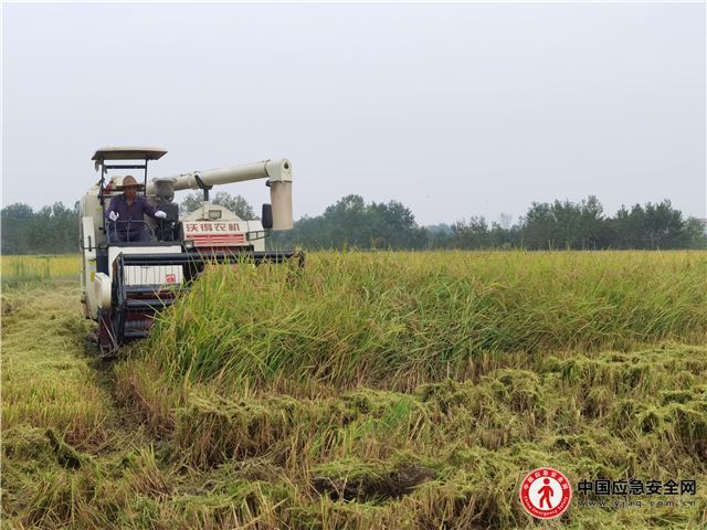 12075378019561424_25.jpg 12075378019561424_25.jpg