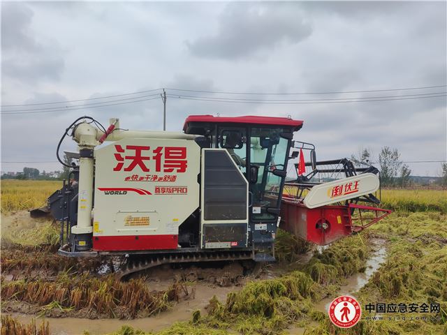 襄阳黄龙：雨口夺粮