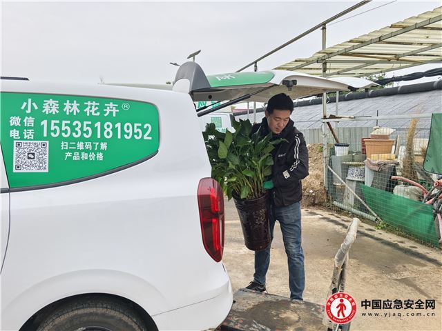 17254029577964145_13.jpeg 17254029577964145_13.jpeg