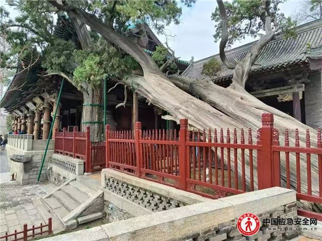 2317156863675323_13.jpeg 2317156863675323_13.jpeg