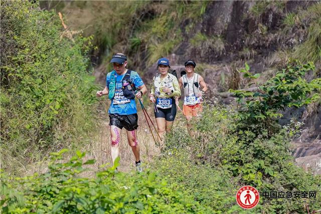 11274031131361425_13.jpeg 11274031131361425_13.jpeg