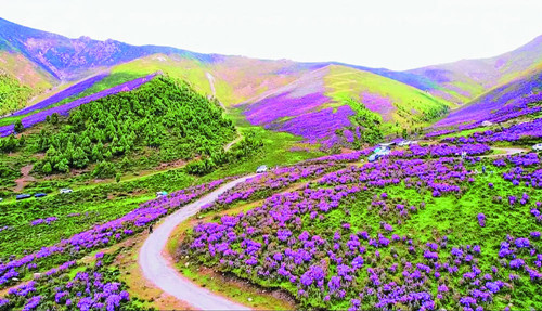 1548415144339973_5.png 1548415144339973_5.png