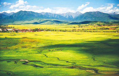 15500581139207073_5.png 15500581139207073_5.png