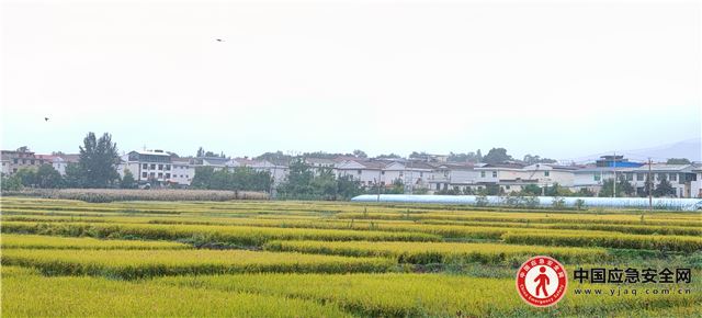 20100596763204069_13.jpeg 20100596763204069_13.jpeg