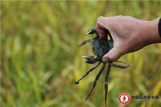 20121734269460584_13.jpeg 20121734269460584_13.jpeg