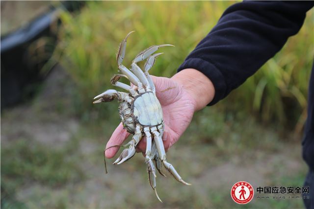 20151518631536352_13.jpeg 20151518631536352_13.jpeg