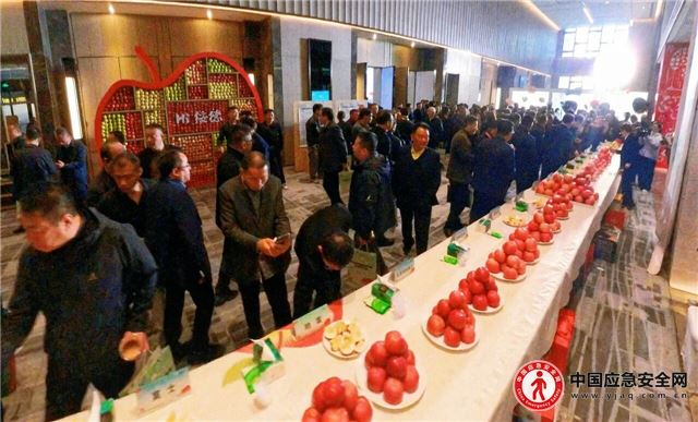 12333895199034916_13.jpeg 12333895199034916_13.jpeg