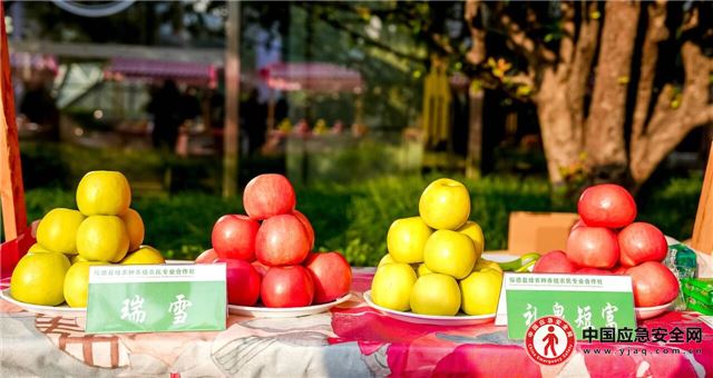 12340471767141370_13.jpeg 12340471767141370_13.jpeg