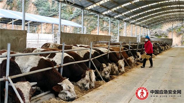 20000584261421990_13.jpeg 20000584261421990_13.jpeg