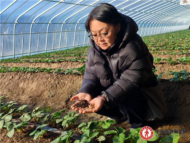 23174062304260914_13.jpeg 23174062304260914_13.jpeg