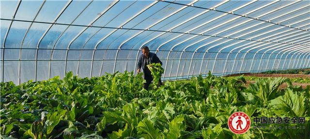 23192729492729762_13.jpeg 23192729492729762_13.jpeg