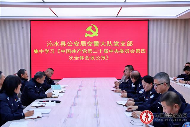 09480462305696956_13.jpeg 09480462305696956_13.jpeg