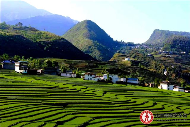 12041691993053014_13.jpeg 12041691993053014_13.jpeg