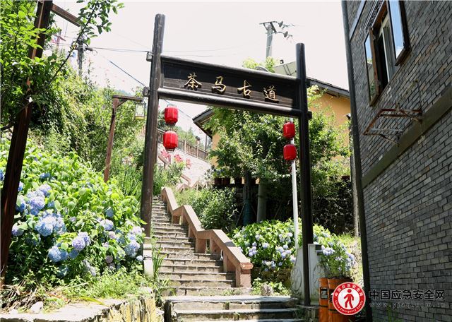 12081765432472900_13.jpeg 12081765432472900_13.jpeg