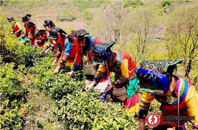 12131740432593619_13.jpeg 12131740432593619_13.jpeg