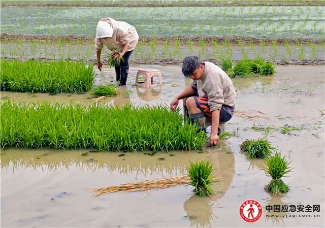 1213440136441766_13.jpeg 1213440136441766_13.jpeg