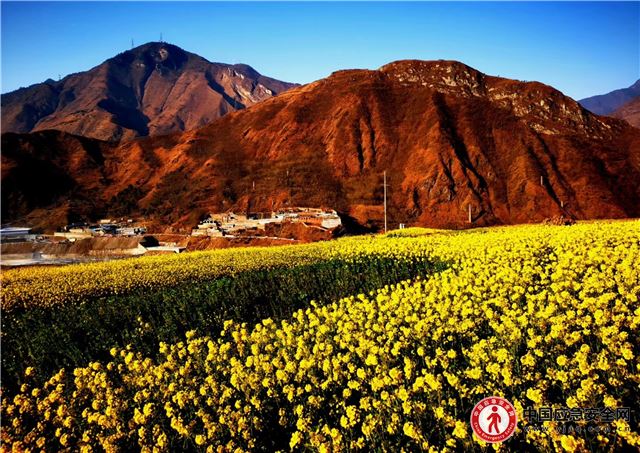 12363796682164705_13.jpeg 12363796682164705_13.jpeg