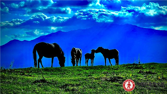 12370949806238887_13.jpeg 12370949806238887_13.jpeg