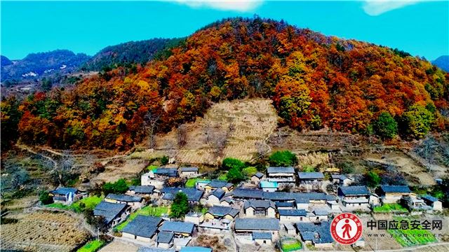 12374795112808570_13.jpeg 12374795112808570_13.jpeg